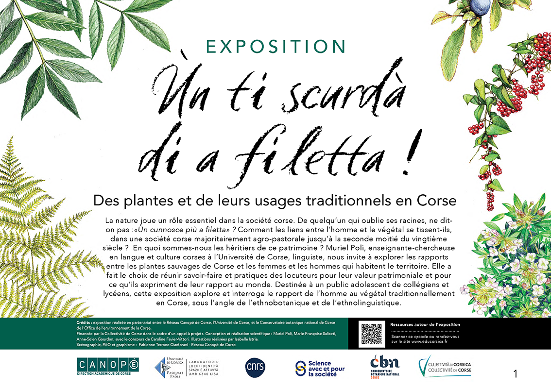 Ùn ti scurdà di a filetta ! - Image 2