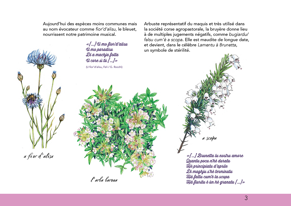 Ùn ti scurdà di a filetta !