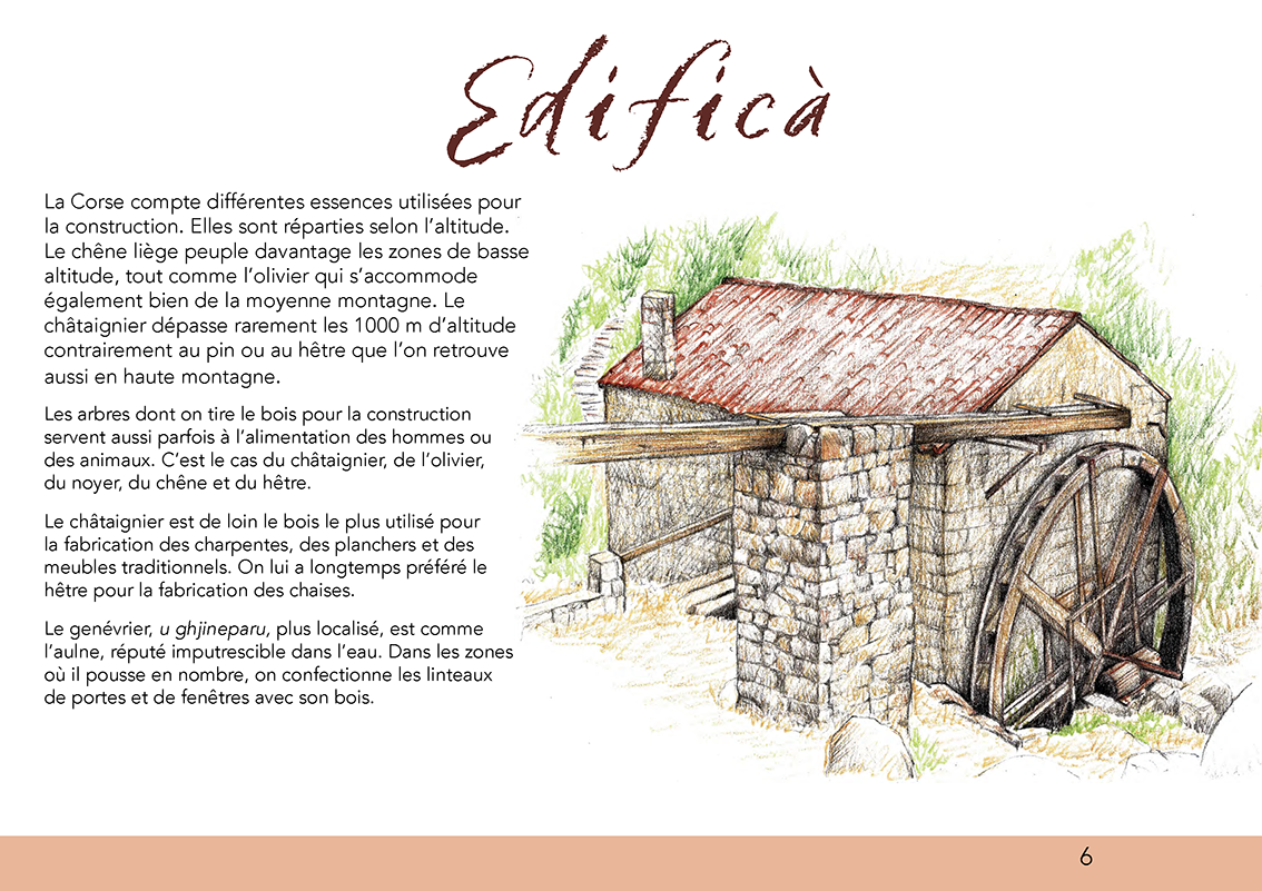 Ùn ti scurdà di a filetta ! - Image 7