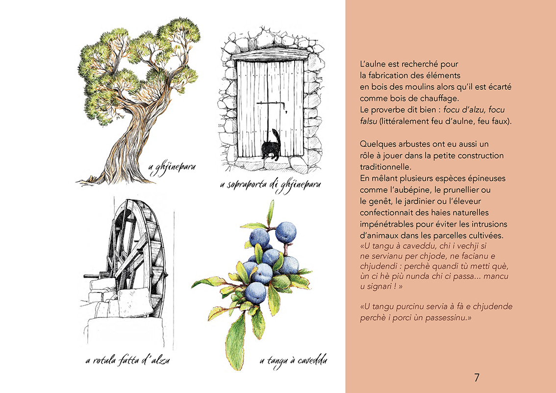 Ùn ti scurdà di a filetta ! - Image 8