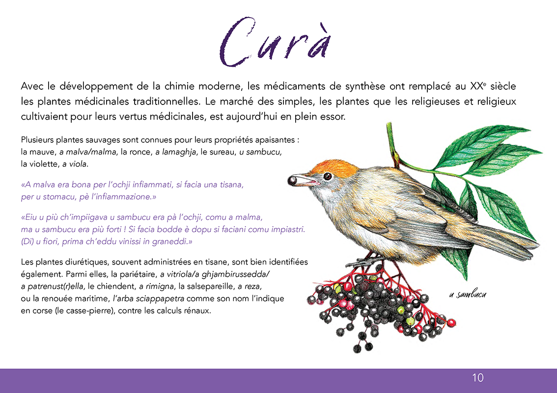 Ùn ti scurdà di a filetta ! - Image 9