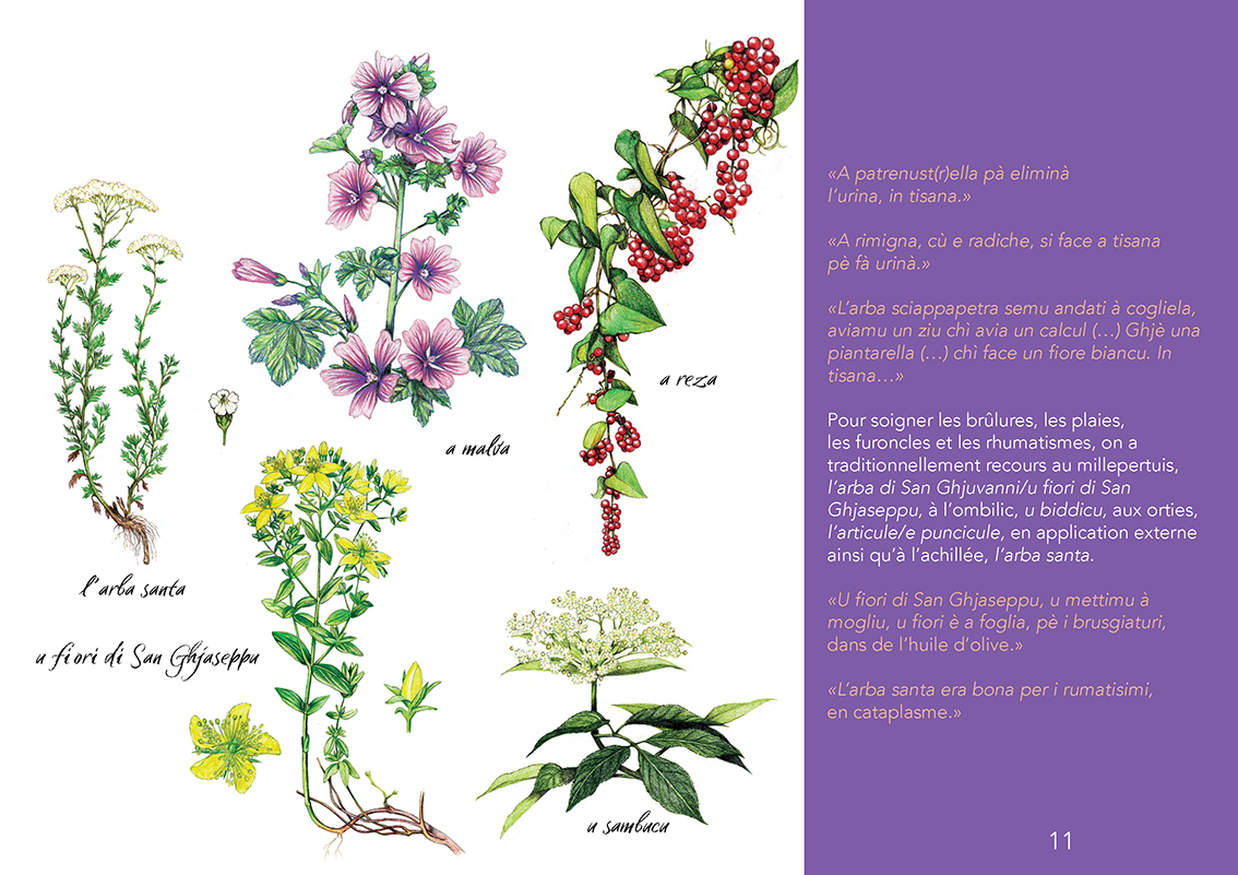 Ùn ti scurdà di a filetta ! - Image 10