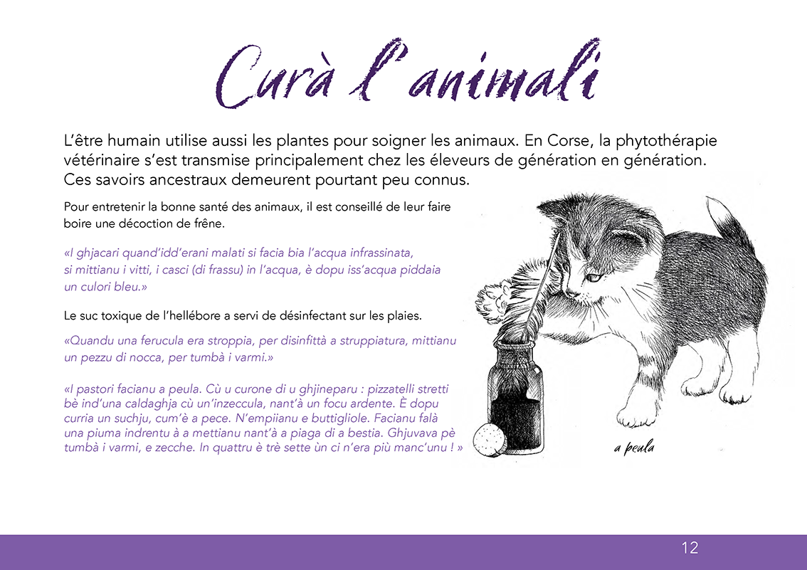 Ùn ti scurdà di a filetta ! - Image 11