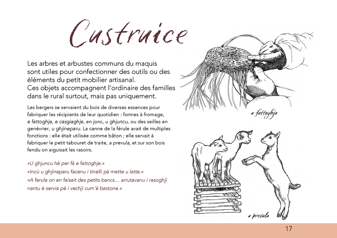 Ùn ti scurdà di a filetta ! - Image 13