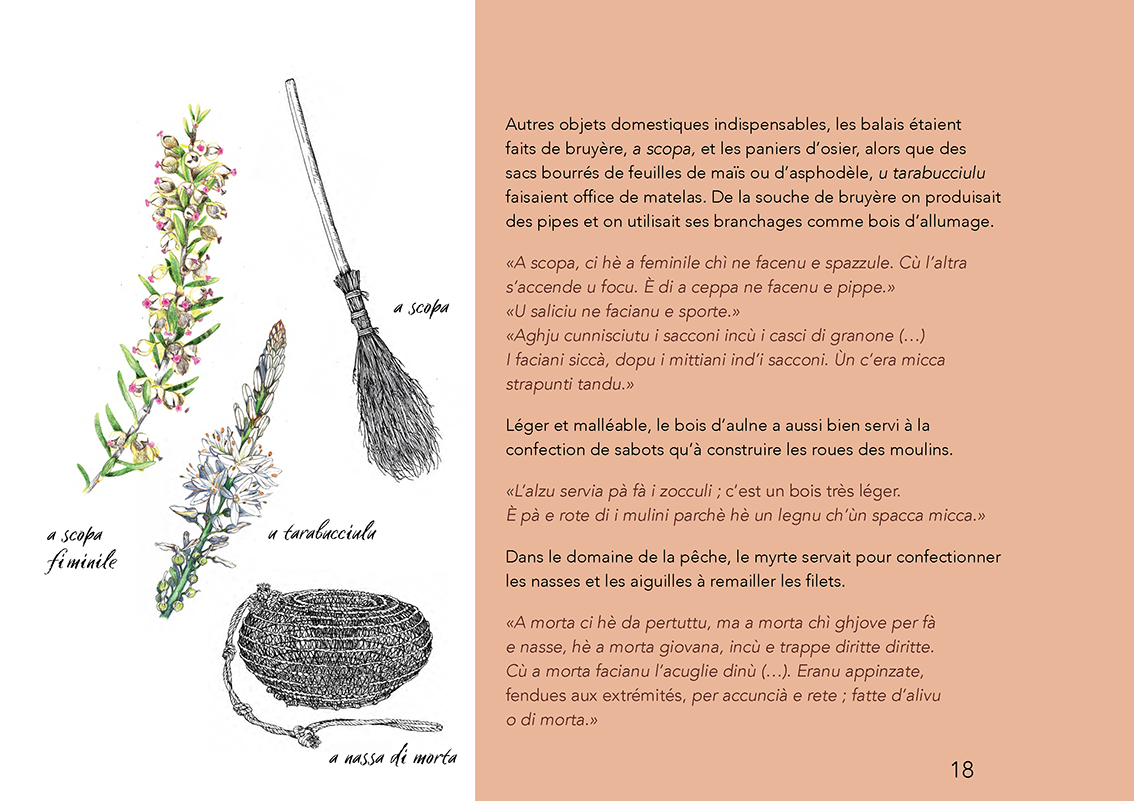 Ùn ti scurdà di a filetta ! - Image 14