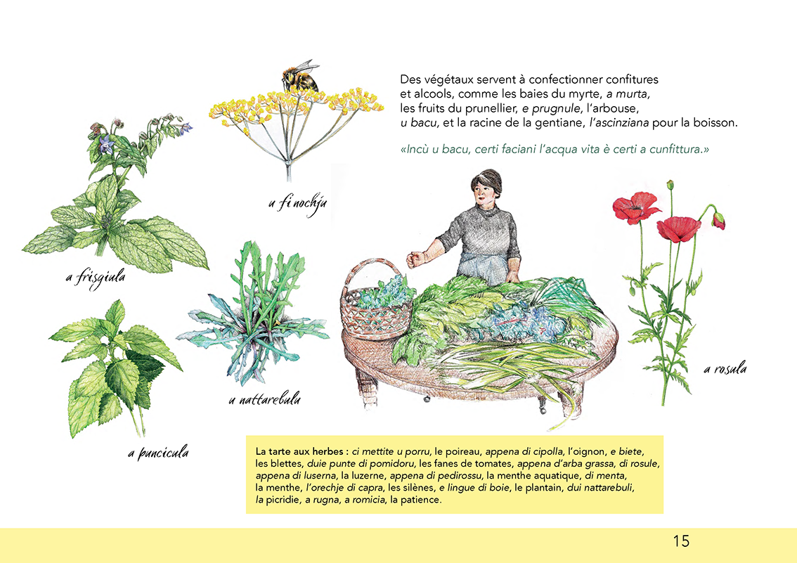 Ùn ti scurdà di a filetta !