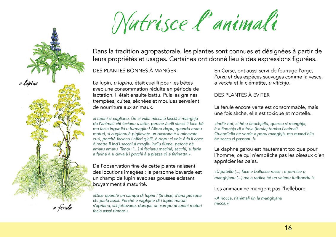 Ùn ti scurdà di a filetta ! - Image 17