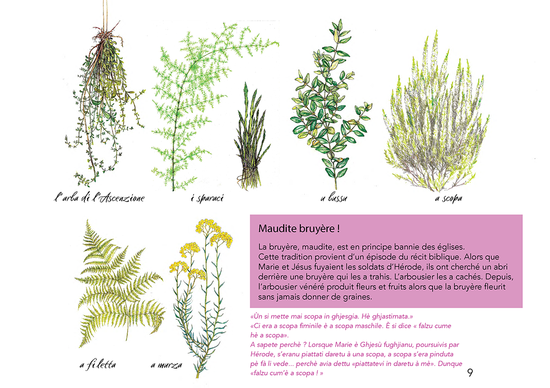 Ùn ti scurdà di a filetta ! - Image 19