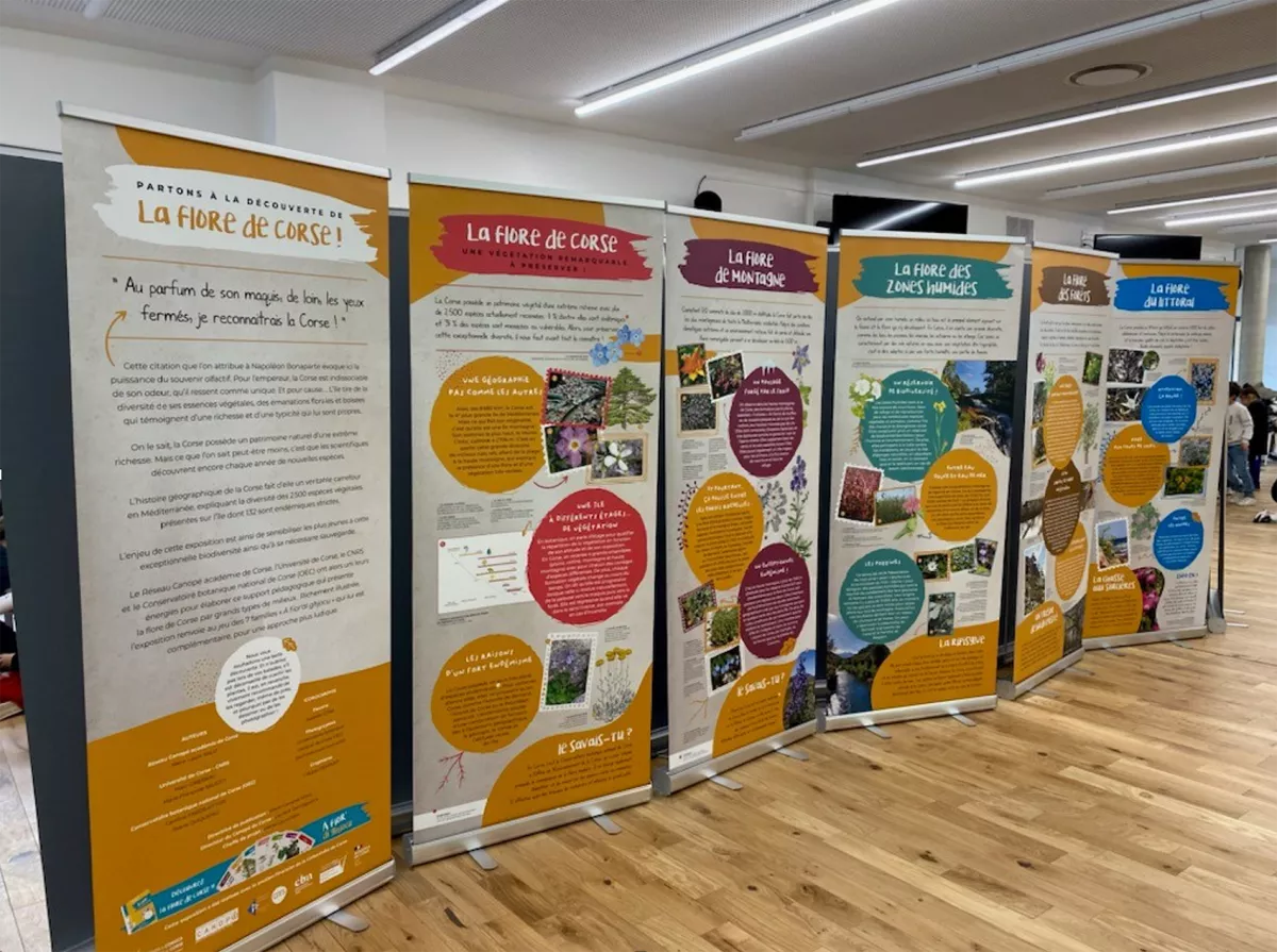 Andemu à scopre a flora corsa !