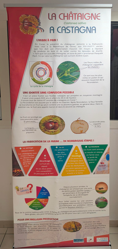 Le patrimoine agricole de la Corse - Image 5