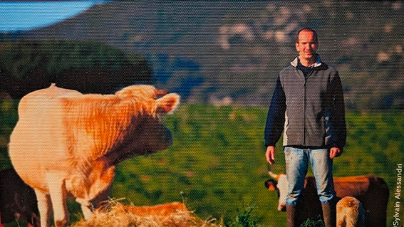 Le patrimoine agricole de la Corse