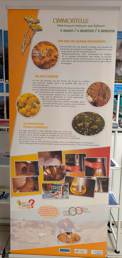 Le patrimoine agricole de la Corse : Des savoir-faire ancestraux renouvelés au service d’une agriculture raisonnée - Image 2