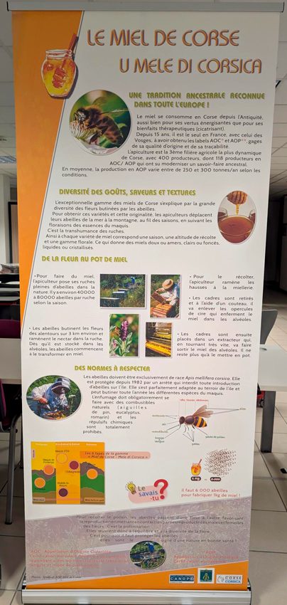 Le patrimoine agricole de la Corse : Des savoir-faire ancestraux renouvelés au service d’une agriculture raisonnée - Image 4