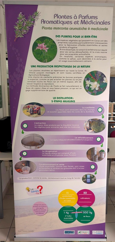 Le patrimoine agricole de la Corse : Des savoir-faire ancestraux renouvelés au service d’une agriculture raisonnée - Image 6