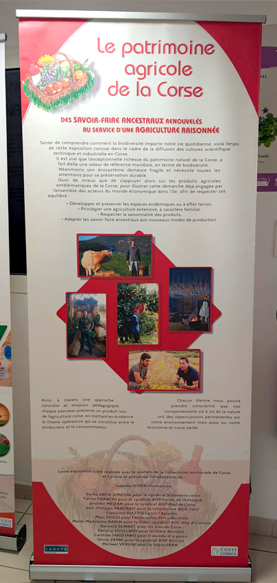 Le patrimoine agricole de la Corse : Des savoir-faire ancestraux renouvelés au service d’une agriculture raisonnée