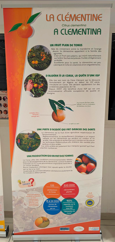 Le patrimoine agricole de la Corse : Des savoir-faire ancestraux renouvelés au service d’une agriculture raisonnée - Image 13
