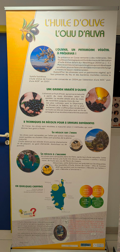 Le patrimoine agricole de la Corse : Des savoir-faire ancestraux renouvelés au service d’une agriculture raisonnée - Image 14